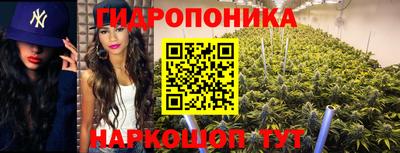 каннабис Аргун