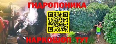 прущие грибы Бугуруслан