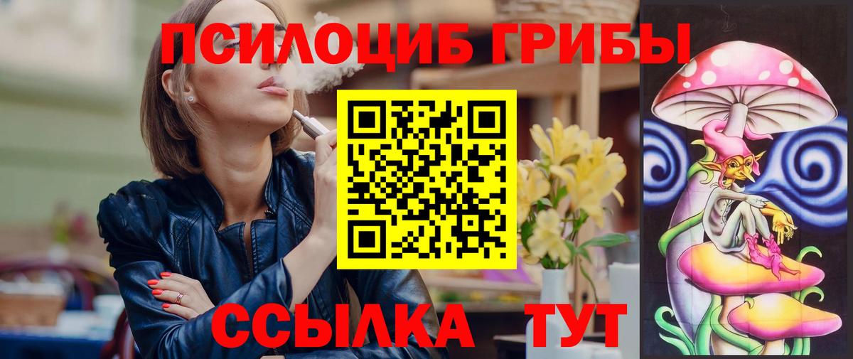продажа наркотиков  Псилоцибиновые грибы мицелий  Вход с VPN  Бердск 