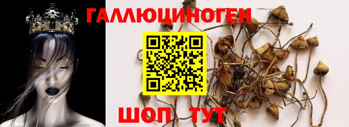 Галлюциногенные грибы мицелий Бердск